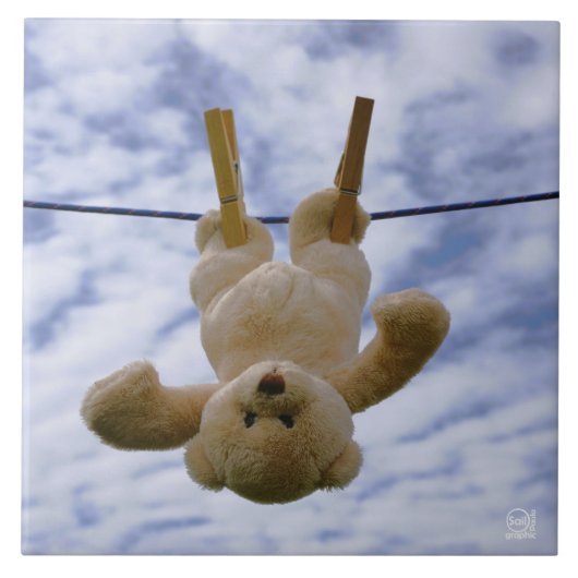 Waslijn met knuffelbeer die hangt te drogen. タイル (正面)