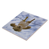 Waslijn met knuffelbeer die hangt te drogen. タイル (側面)