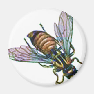 WaspまたはHornet マグネット