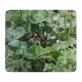 WASPカッティングボード カッティングボード