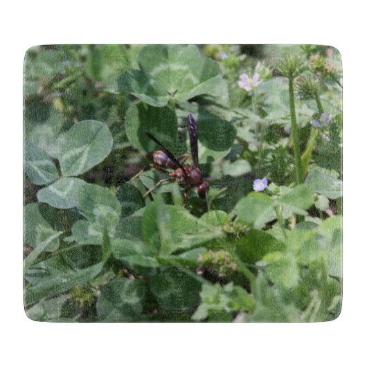 WASPカッティングボード カッティングボード (正面)