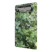 WASPクリップボード ミニクリップボード (アングル2)