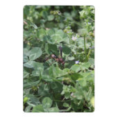 WASPクリップボード ミニクリップボード (裏面)