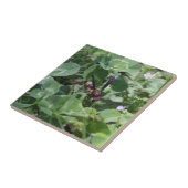 Waspセラミックタイル タイル (側面)