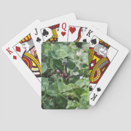 Waspトランプ トランプ