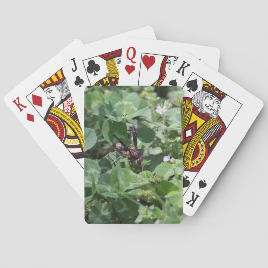 Waspトランプ トランプ (裏面)