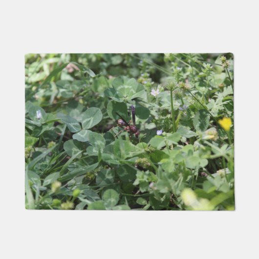 WASPドアマット ドアマット (正面)