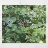 Waspボトルラベル ビールラベル (シングルラベル)