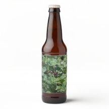 Waspボトルラベル