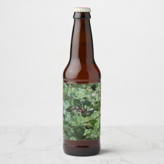 Waspボトルラベル ビールラベル (正面)