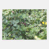 Wasp包装紙シート ラッピングペーパーシート (正面3)