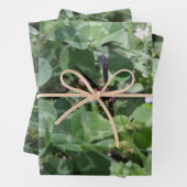 Wasp包装紙シート ラッピングペーパーシート (インサイチュ)