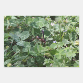 Wasp包装紙シート ラッピングペーパーシート