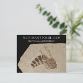 Wasp化石フローリサン化石ベッドナショナルモニュメ ポストカード (スタンド正面)