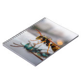 Wasp反射ノートブック ノートブック (左側)