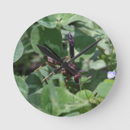 Wasp時計 ラウンド壁時計