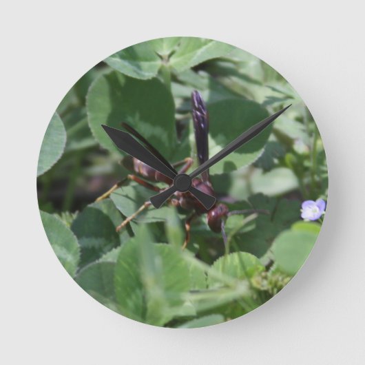 Wasp時計 ラウンド壁時計 (正面)