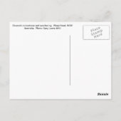 Wasp頭部のボクストワークのコンクリート ポストカード (裏面)