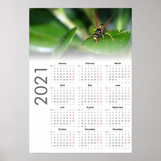 Wasp Calendar 2021 Poster - Monday start ポスター (正面)