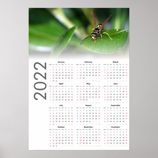 Wasp Calendar 2022 Poster - Sunday start ポスター (正面)
