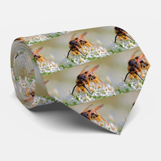 Wasp on white flower ネクタイ (ロール)
