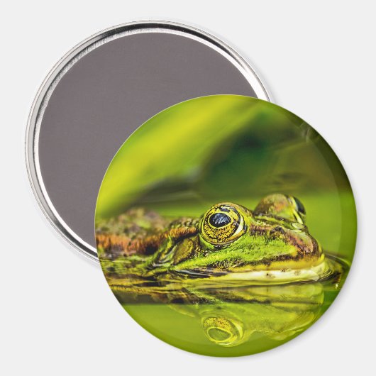 Wasserfrosch マグネット (正面/裏面)