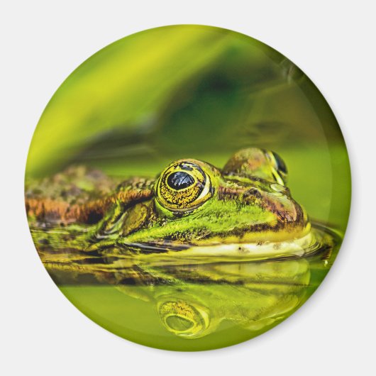 Wasserfrosch マグネット (正面)