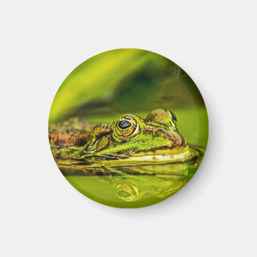 Wasserfrosch マグネット (正面)