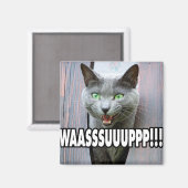 WASSUP - Catミーム マグネット (正面/裏面)