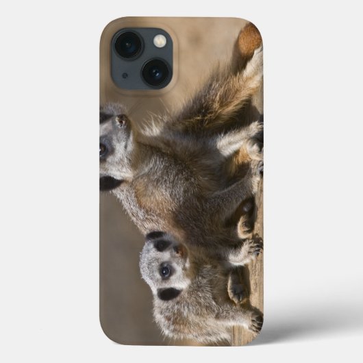 Watch with Mother iPadケース Case-Mate iPhoneケース (裏面)