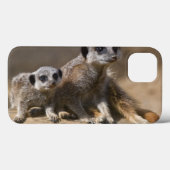 Watch with Mother iPadケース Case-Mate iPhoneケース (裏面 (横))