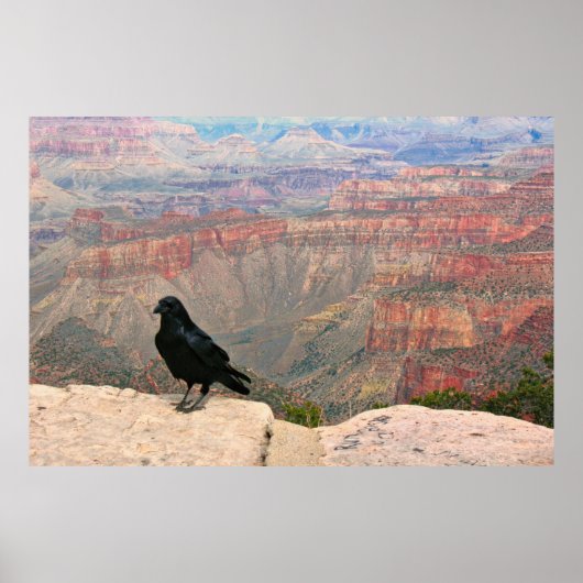 Watcher of the Canyon ポスター (正面)