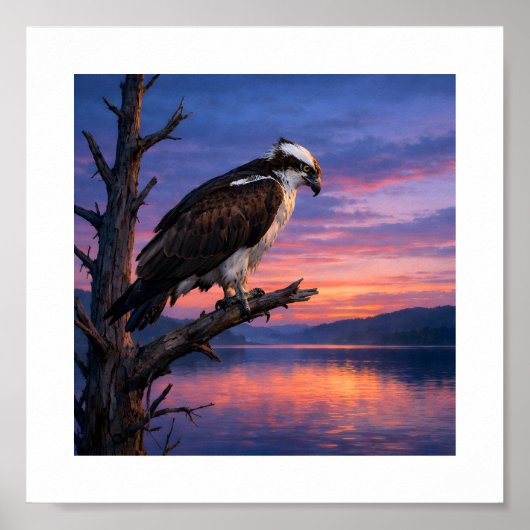Watcher of the Water – Osprey at Dusk ポスター (正面)