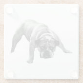 Watchful Bulldog Coaster ガラスコースター (裏面)