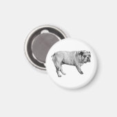 Watchful Bulldog Magnet マグネット (正面/裏面)