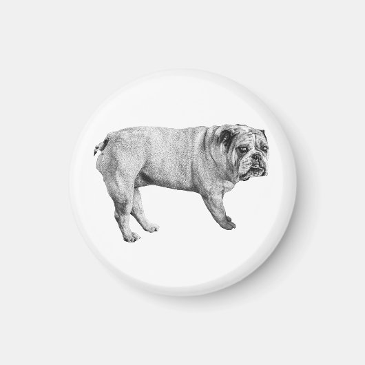 Watchful Bulldog Magnet マグネット (正面)