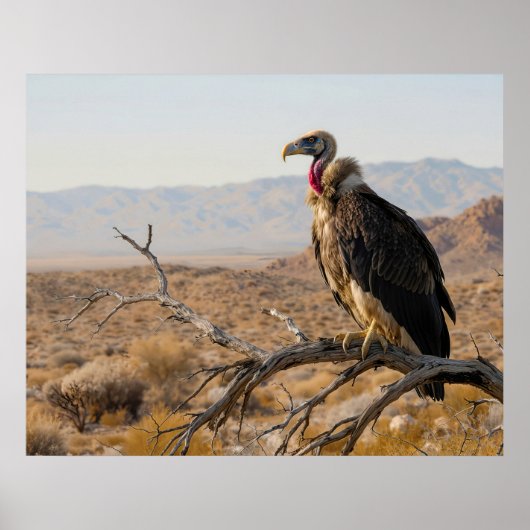 Watchful Eyes ポスター (正面)