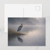 Watchful Heron | Great Blue Heron | ポストカード (正面/裏面)