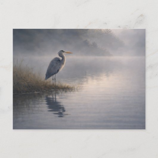 Watchful Heron | Great Blue Heron | ポストカード (正面)