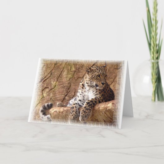 Watchful Leopard Greeting Card カード (正面)