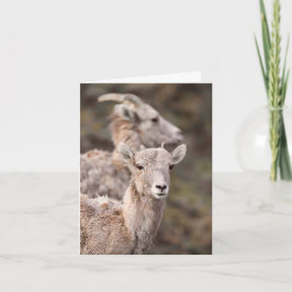 Watching Ewe - 4" x 5.6" ノートカード