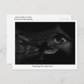 Watching Over Sparrowsポストクロッシングポストカード ポストカード (正面/裏面)
