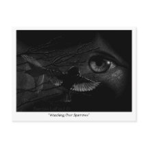Watching Over Sparrowsポストクロッシングポストカード