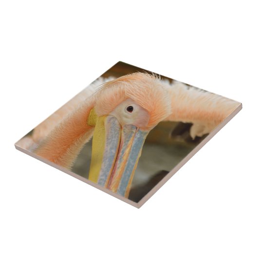 Watching You Pelicanタイル タイル (側面)