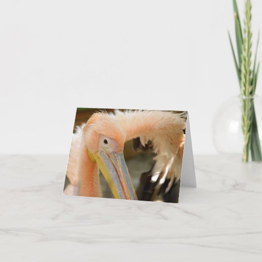 Watching You Pelicanノートカード カード (正面)