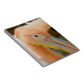 Watching You Pelicanノートブック ノートブック (右側)