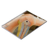 Watching You Pelicanノートブック ノートブック (左側)