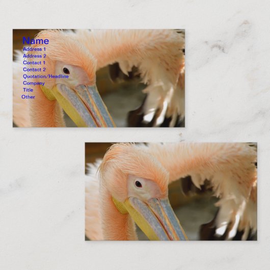 Watching You Pelican名刺 名刺 (正面/裏面)