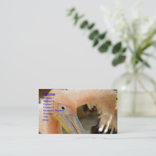 Watching You Pelican名刺 名刺 (スタンド正面)