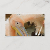 Watching You Pelican名刺 名刺 (裏面)